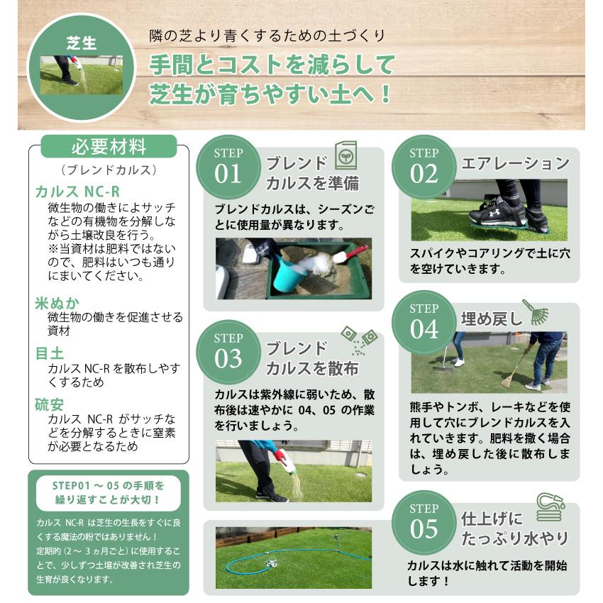 土壌改良資材 カルス NC-R 1kg リサール酵産 発根促進 肥料 微生物 有機物 堆肥 土づくり 土壌 改良 連作障害 野菜 花 植物 自然薯 畑 福S 代引不可 産直 |  | 06