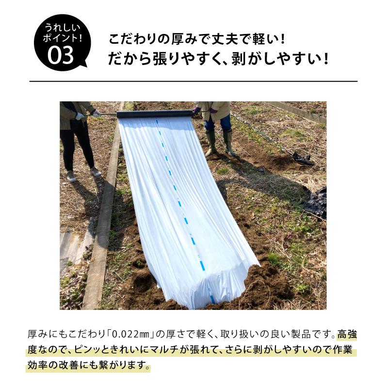 白黒マルチ 幅95cm シャイニングゼブラ 国産 穴なし センターライン入 白黒 マルチ シート 畑 地温 温度 抑制 レタス 白菜 栽培 防草 雑草対策 日A DZ |  | 04