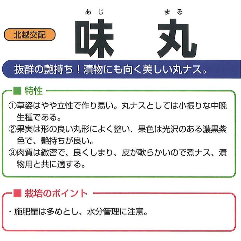 種子 0.8ml ナス 味丸 北越交配 栽培用 野菜タネ 野菜種子 野菜のタネ なす 茄子 北越農事 D |  | 01