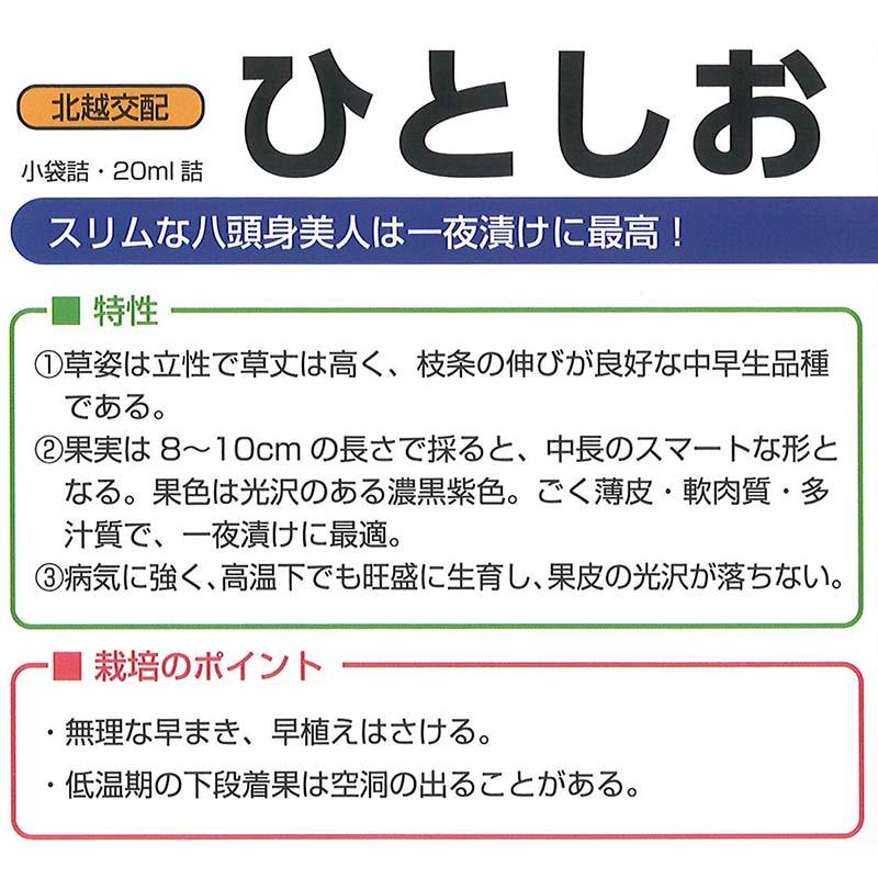 種子 0.8ml ナス ひとしお 北越交配 栽培用 野菜タネ 野菜種子 野菜のタネ なす 茄子 北越農事 D |  | 01