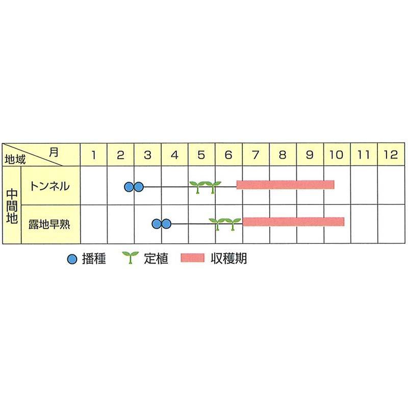 種子 0.8ml ナス ひとしお 北越交配 栽培用 野菜タネ 野菜種子 野菜のタネ なす 茄子 北越農事 D |  | 02