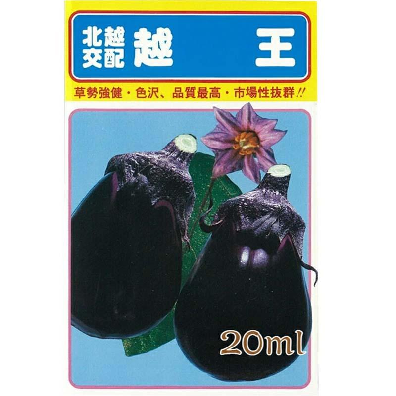 種子 20ml ナス 越王 小袋 こしおう 北越交配 栽培用 野菜タネ 野菜種子 野菜のタネ なす 茄子 北越農事 D | 