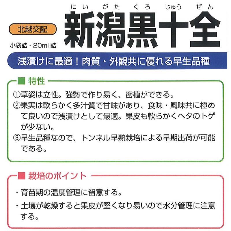 種子 0.6ml ナス 新潟黒十全 小袋 北越交配 栽培用 野菜タネ 野菜種子 野菜のタネ なす 茄子 北越農事 D |  | 01
