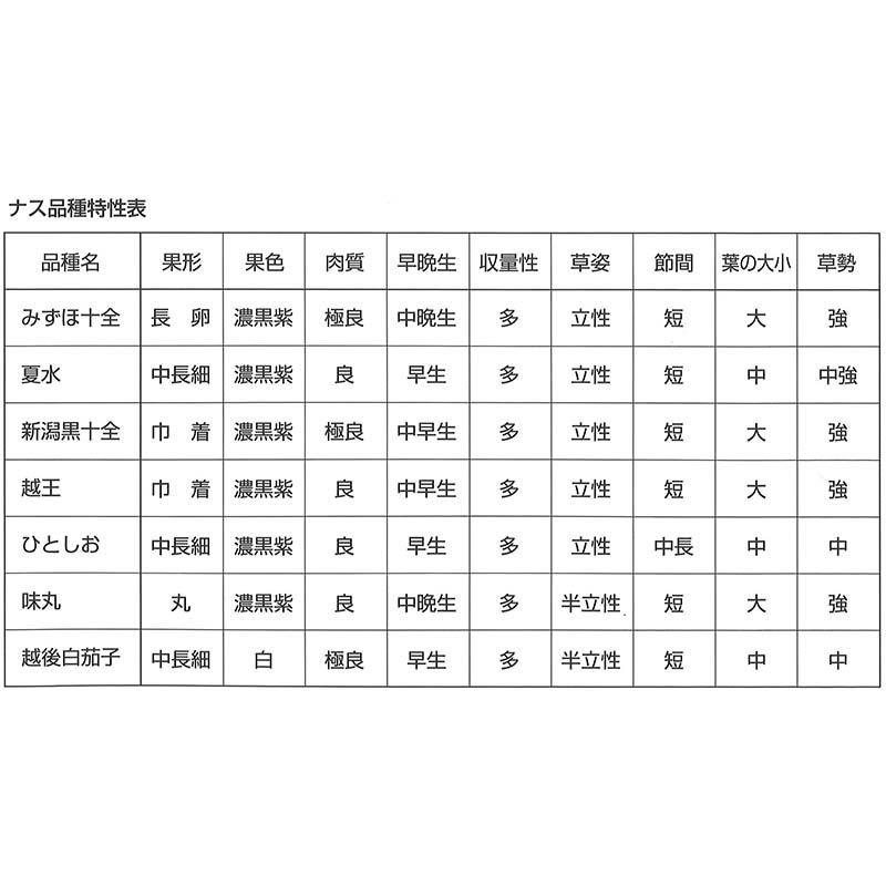 種子 0.6ml ナス みずほ十全 小袋 北越交配 栽培用 野菜タネ 野菜種子 野菜のタネ なす 茄子 北越農事 D |  | 03