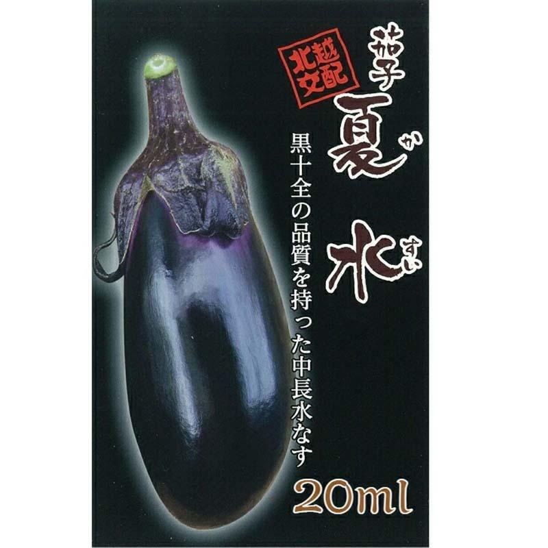 種子 20ml ナス 夏水 かすい 北越交配 栽培用 野菜タネ 野菜種子 野菜のタネ なす 茄子 北越農事 D | 