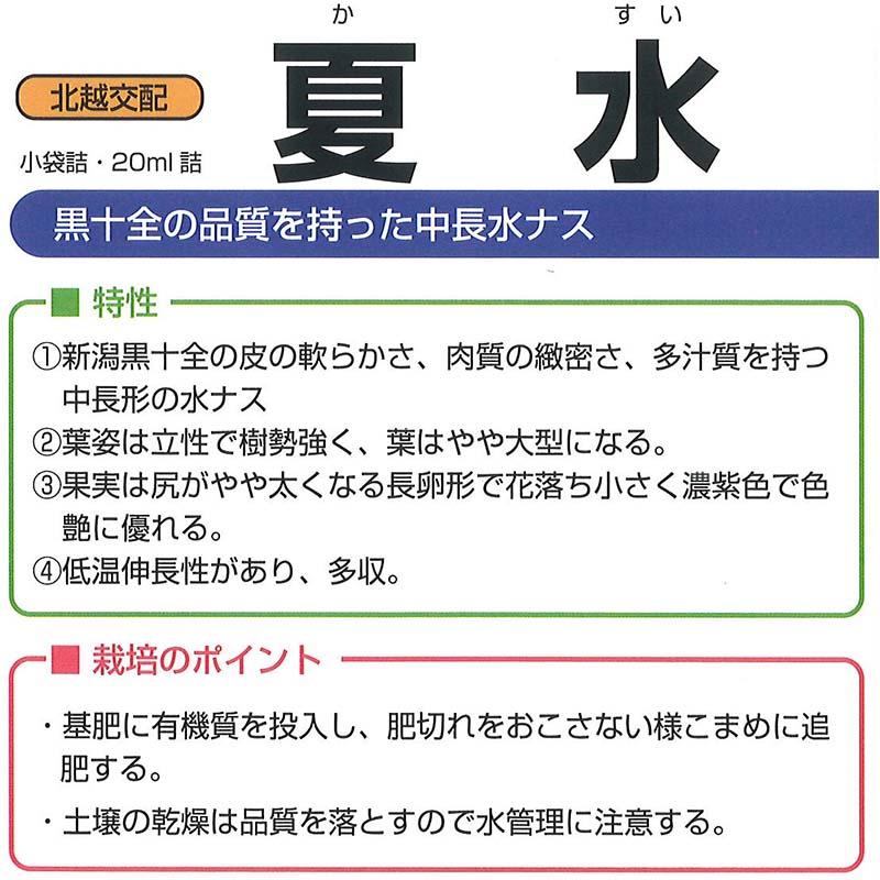 種子 20ml ナス 夏水 かすい 北越交配 栽培用 野菜タネ 野菜種子 野菜のタネ なす 茄子 北越農事 D |  | 01