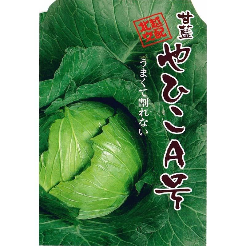 種子 1.2ml キャベツ やひこA号 北越交配 栽培用 野菜タネ 野菜種子 野菜のタネ 甘藍 北越農事 D | 
