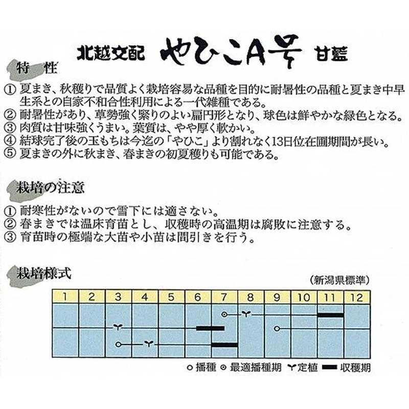 種子 1.0ml キャベツ やひこA号 北越交配 栽培用 野菜タネ 野菜種子 野菜のタネ 甘藍 北越農事 D |  | 01