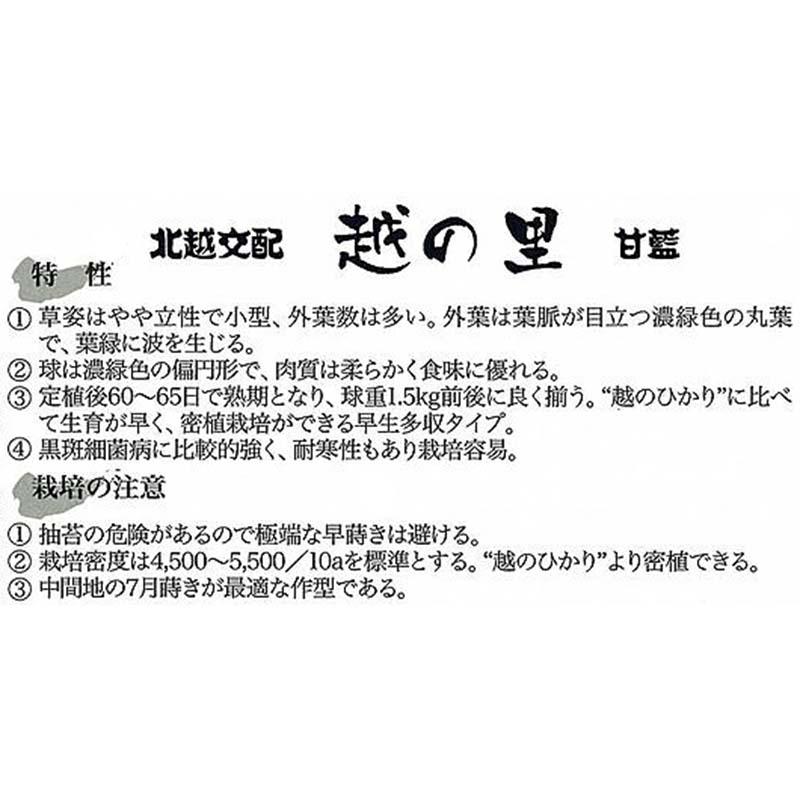 種子 1.2ml キャベツ 越の里 北越交配 栽培用 野菜タネ 野菜種子 野菜のタネ 甘藍 北越農事 D |  | 01