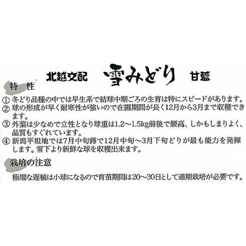種子 1.2ml キャベツ 雪みどり 北越交配 栽培用 野菜タネ 野菜種子 野菜のタネ 甘藍 北越農事 D |  | 01