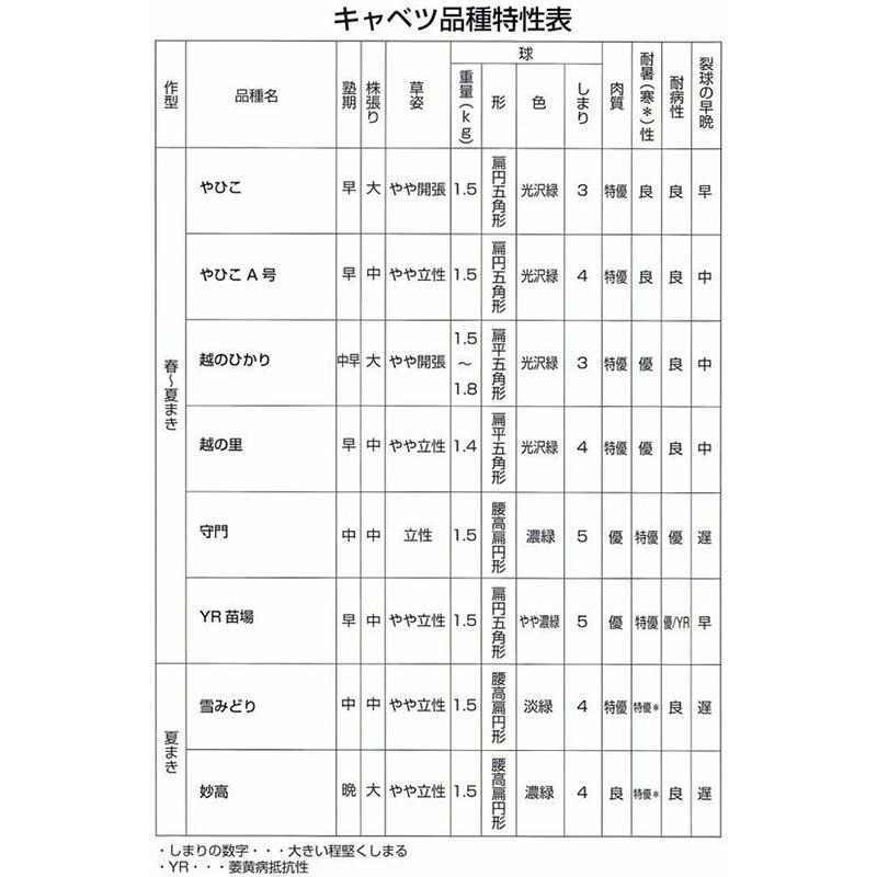 種子 1.0ml キャベツ 雪みどり 北越交配 栽培用 野菜タネ 野菜種子 野菜のタネ 甘藍 北越農事 D |  | 03