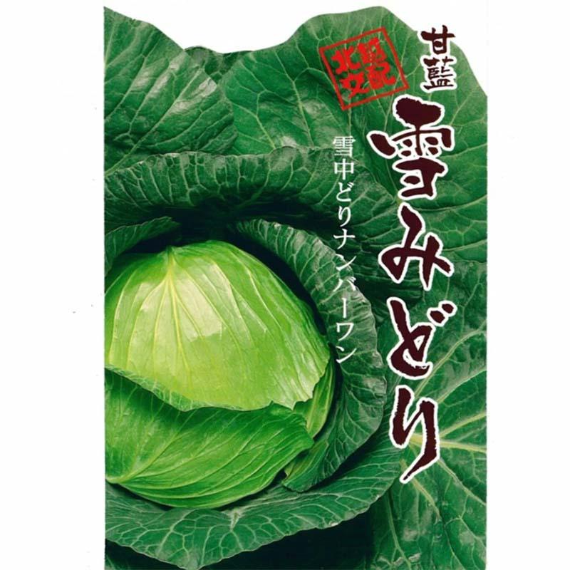 種子 20ml キャベツ 雪みどり 北越交配 栽培用 野菜タネ 野菜種子 野菜のタネ 甘藍 北越農事 D | 