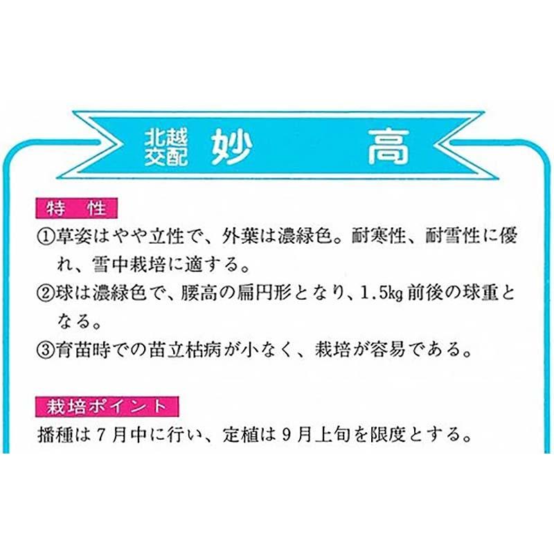 種子 20ml キャベツ 妙高 北越交配 栽培用 野菜タネ 野菜種子 野菜のタネ 甘藍 北越農事 D |  | 01