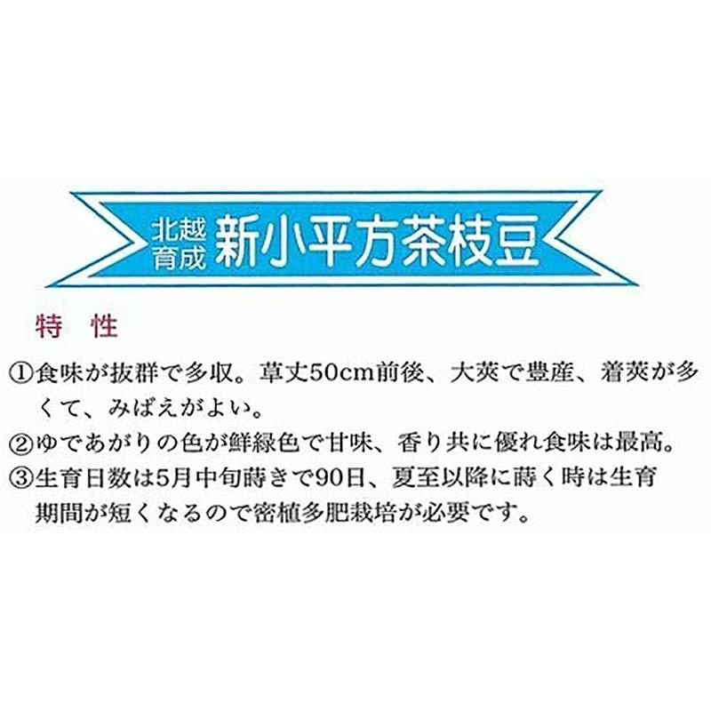 種子 1L 枝豆 新小平方茶豆 北越育成 栽培用 野菜タネ 野菜種子 野菜のタネ エダマメ 北越農事 D |  | 01