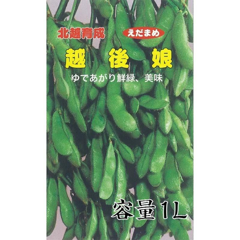 【1kg×19袋入】夏風香（枝豆・えだまめ） 種子 農業 農家 合計19kg 1kg×19袋入】夏風香（枝豆・えだまめ） 種子 農業 農家 合計19kg