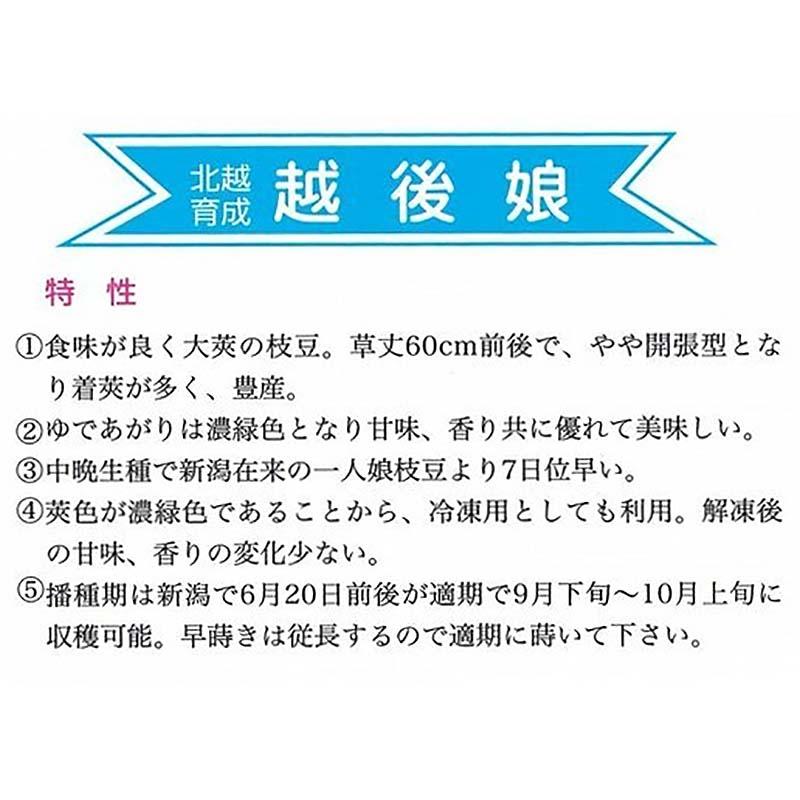 種子 1dl 枝豆 越後娘 北越育成 栽培用 野菜タネ 野菜種子 野菜のタネ エダマメ 北越農事 D |  | 01