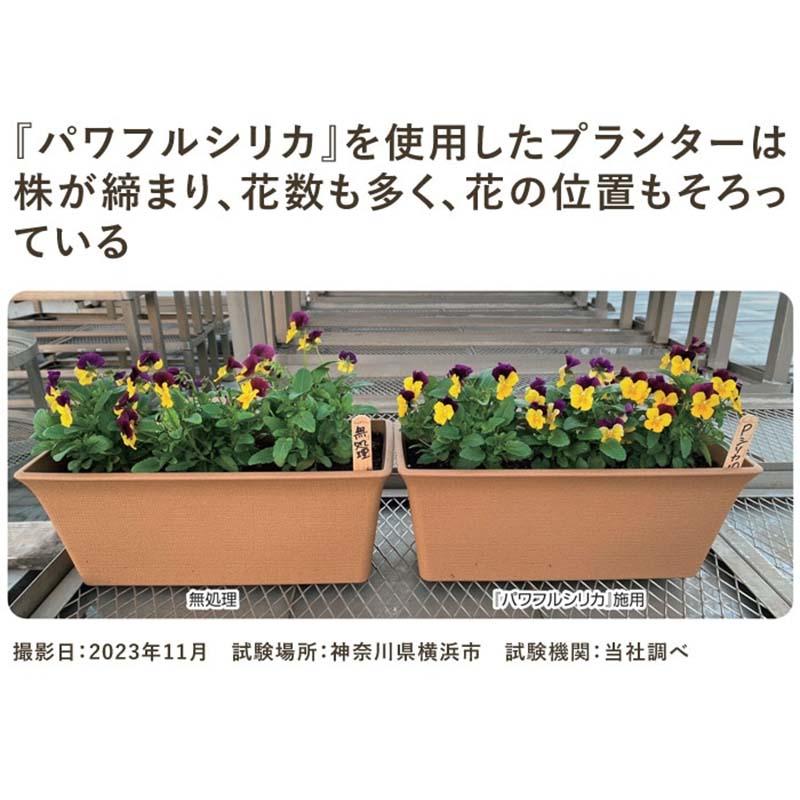 18袋 パワフルシリカ 1kg 土壌改良 サカタのタネ 代引不可 |  | 03