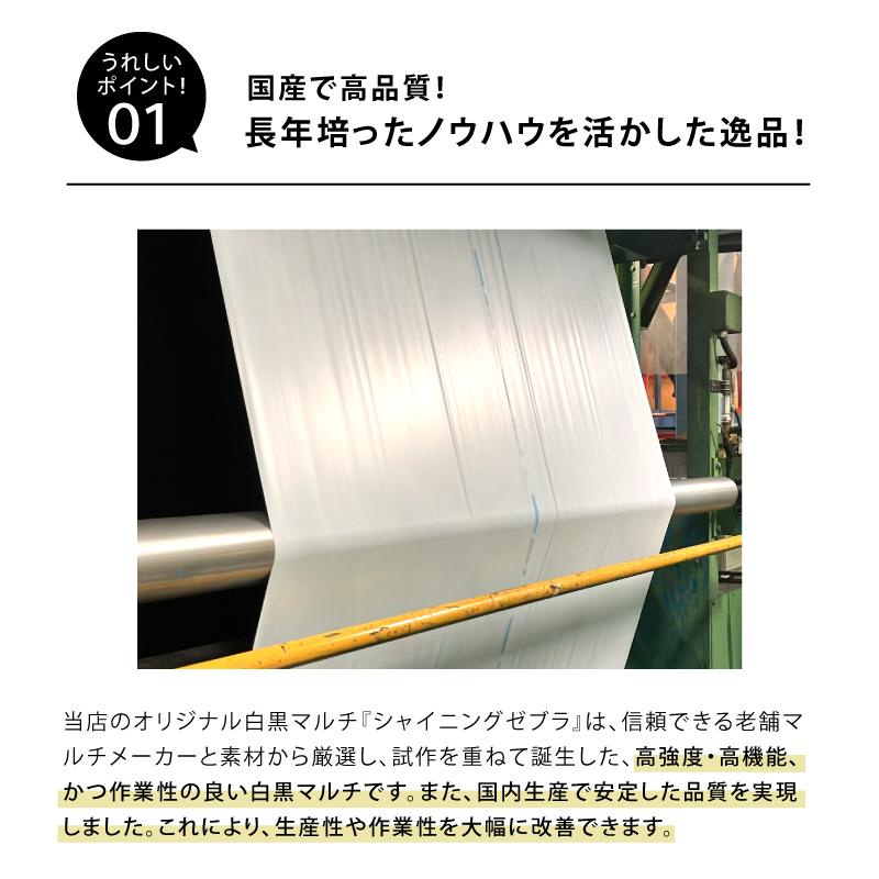 4本 白黒マルチ 幅135cm シャイニングゼブラ 国産 穴なし センターライン入 白黒 マルチ シート 畑 地温 温度 抑制 レタス 白菜 防草 雑草対策 日A DZ |  | 02