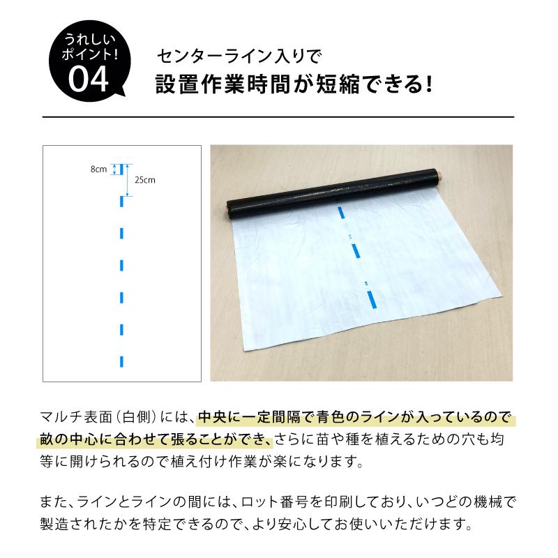 4本 白黒マルチ 幅135cm シャイニングゼブラ 国産 穴なし センターライン入 白黒 マルチ シート 畑 地温 温度 抑制 レタス 白菜 防草 雑草対策 日A DZ |  | 05