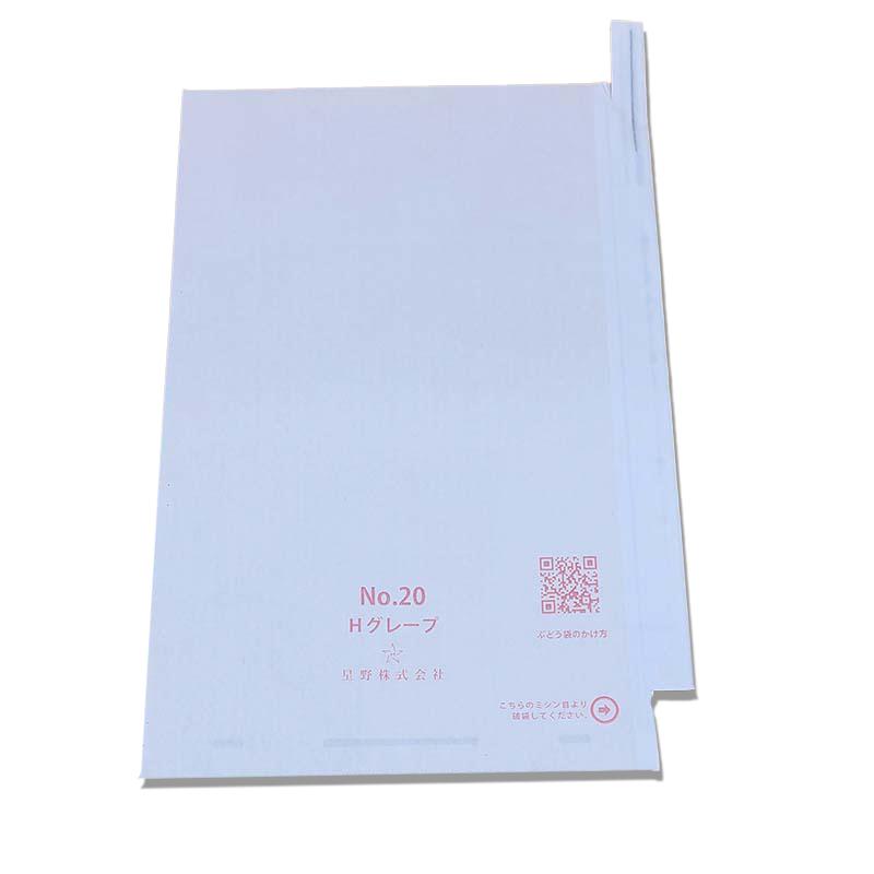 100枚 果実袋 20号 段有 Hグレープ 217×315mm 553608 4570123992415 露地栽培用 一般品種用 大房サイズ ブドウ ぶどう用掛袋 星野 DZ | 