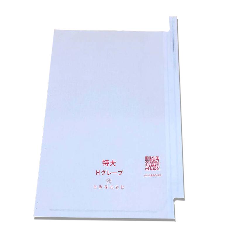 100枚 果実袋 特大 段有 Hグレープ 240×360mm 553609 4570123992422 露地栽培用 一般品種用 超大房サイズ ブドウ ぶどう用掛袋 星野 DZ | 