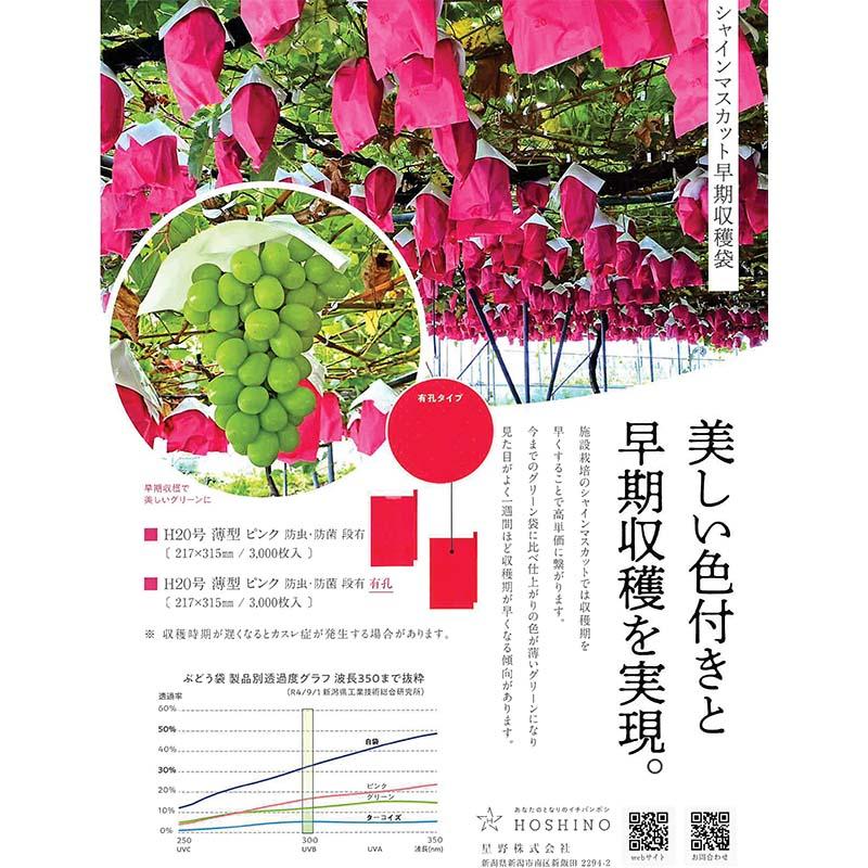 3000枚 果実袋 20号 有孔 薄型 ピンク 段有 Hグレープ 217×315mm 553691 4570123993023 ブドウ ぶどう用掛袋 星野 代引不可 |  | 02