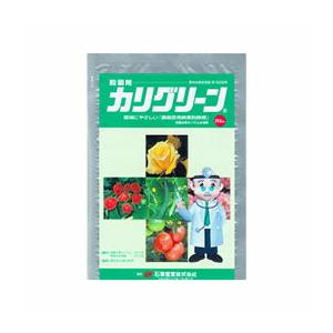 カリグリーン 250g 殺菌剤 OATアグリオ うどんこ病 農薬 Vデ 代引不可 産直 | 