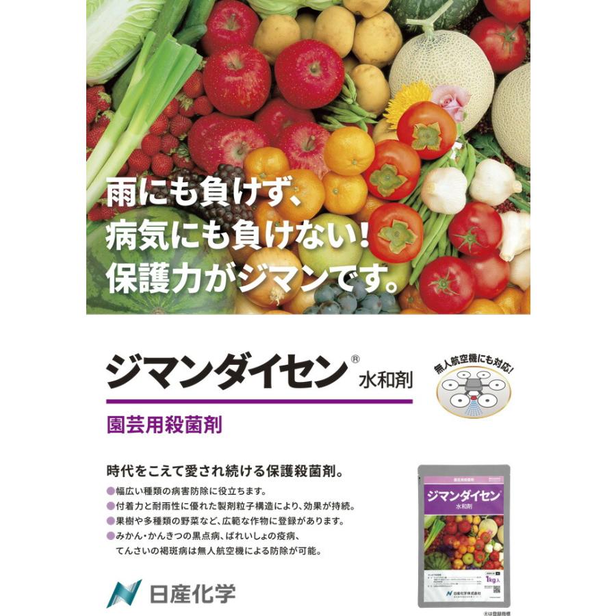 ジマンダイセン水和剤 250g 日産化学 殺菌剤 農薬 Vデ 代引不可 産直 |  | 01