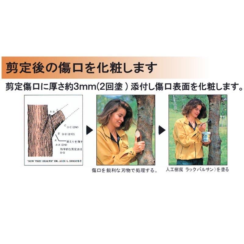 樹木傷口コーティング材 ラックバルサン 385g 樹木剪定後 ケア 人工樹皮 東邦レオ Vデ 代引不可 産直 |  | 01