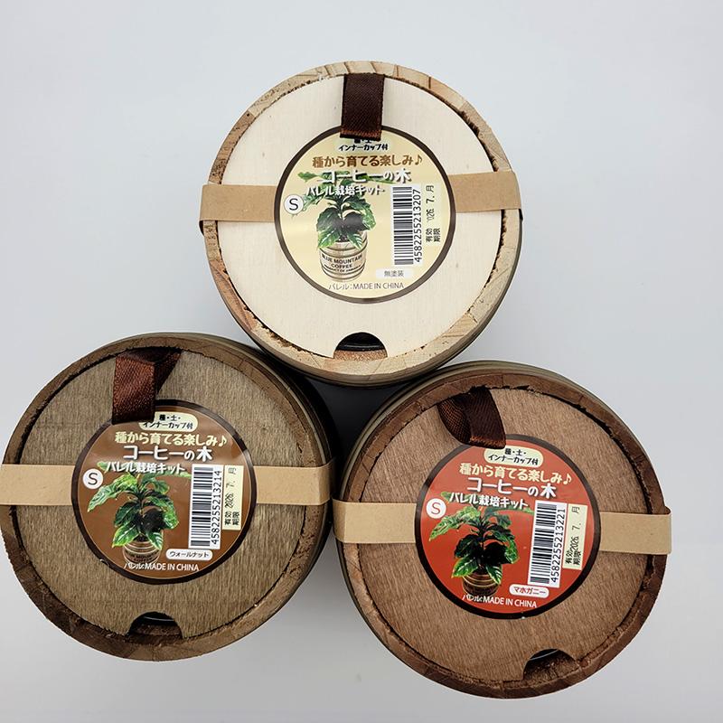 コーヒーの木 バレル栽培キット S 種から育てる栽培セット おしゃれ かわいい フォレスト カ園 DZ |  | 02