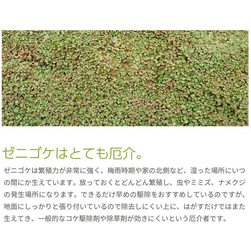 6本 コケそうじ ゼニゴケ専用濃縮液 500ml 駆除 コケ掃除 こけ 苔 コケ 落とし 掃除 そうじ コンクリート タイル パネフリ タS 代引不可 |  | 01