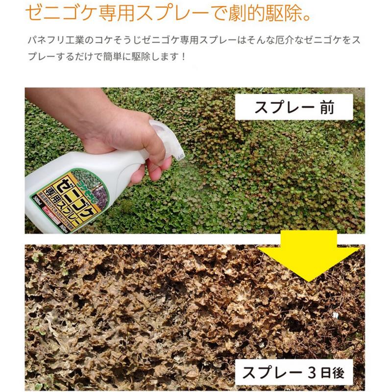 6本 コケそうじ ゼニゴケ専用濃縮液 500ml 駆除 コケ掃除 こけ 苔 コケ 落とし 掃除 そうじ コンクリート タイル パネフリ タS 代引不可 |  | 02