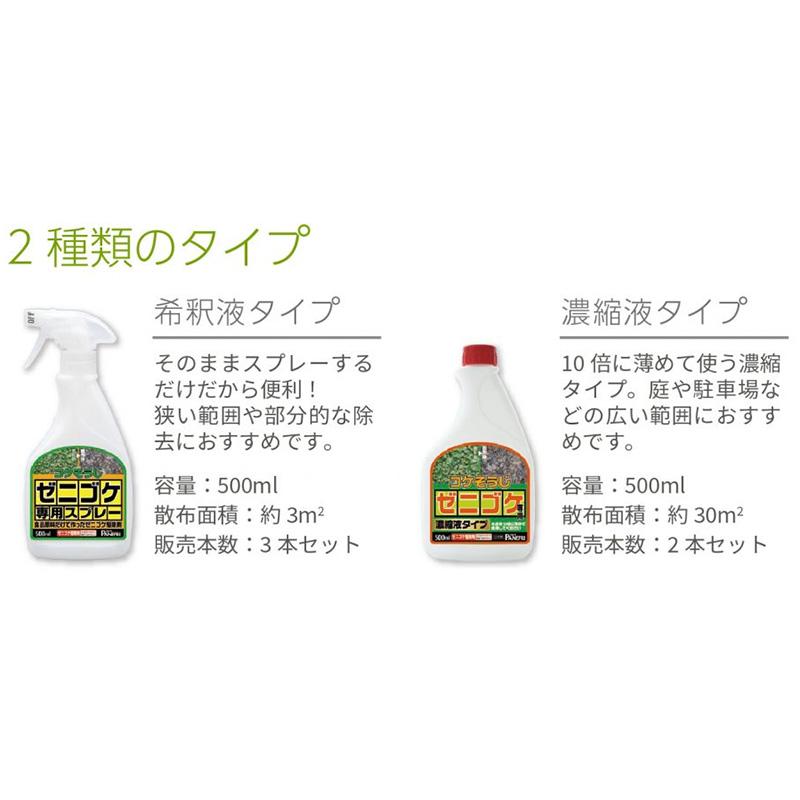 4本 コケそうじ ゼニゴケ専用濃縮液 2L 駆除 コケ掃除 こけ 苔 コケ 落とし 掃除 そうじ コンクリート タイル パネフリ タS 代引不可 |  | 04