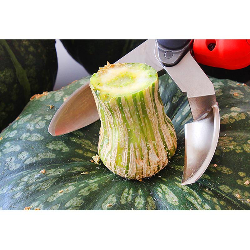 ニシガキ N-980 カボチャはさみ 電動バサミ リチウムイオンバッテリ ー 充電式 かぼちゃ 南瓜 三冨D |  | 03