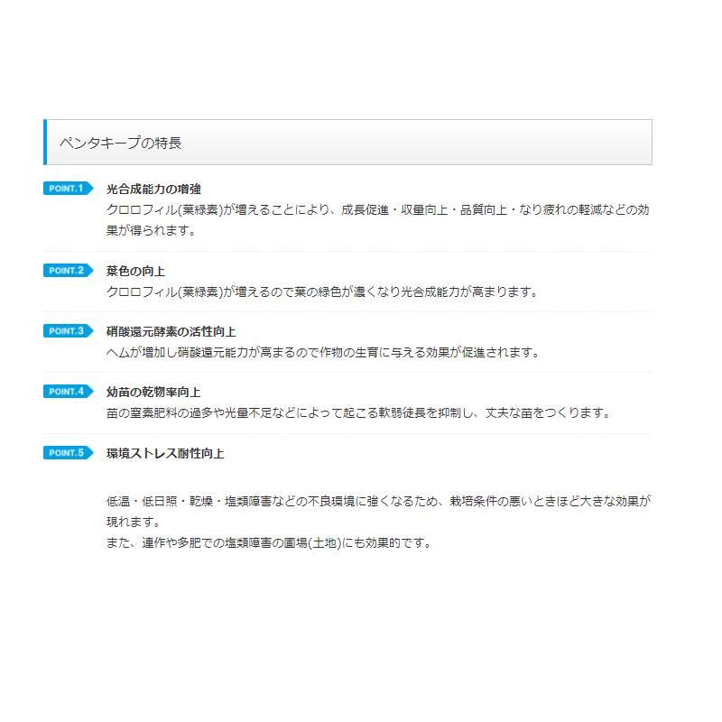 ペンタキープハイパー5000 5912PHY 1kg 800ml 5-ALA 液状肥料 誠和 Vデ 代引不可 産直 |  | 04
