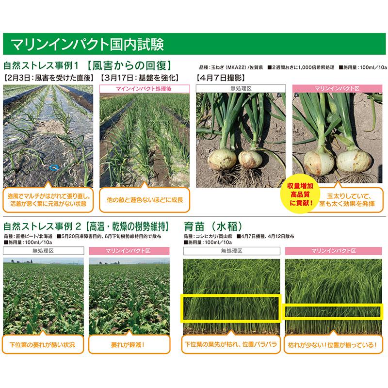 マリンインパクト 4L バイオスティミュラント資材 ファイトクローム 新ク DZ |  | 03