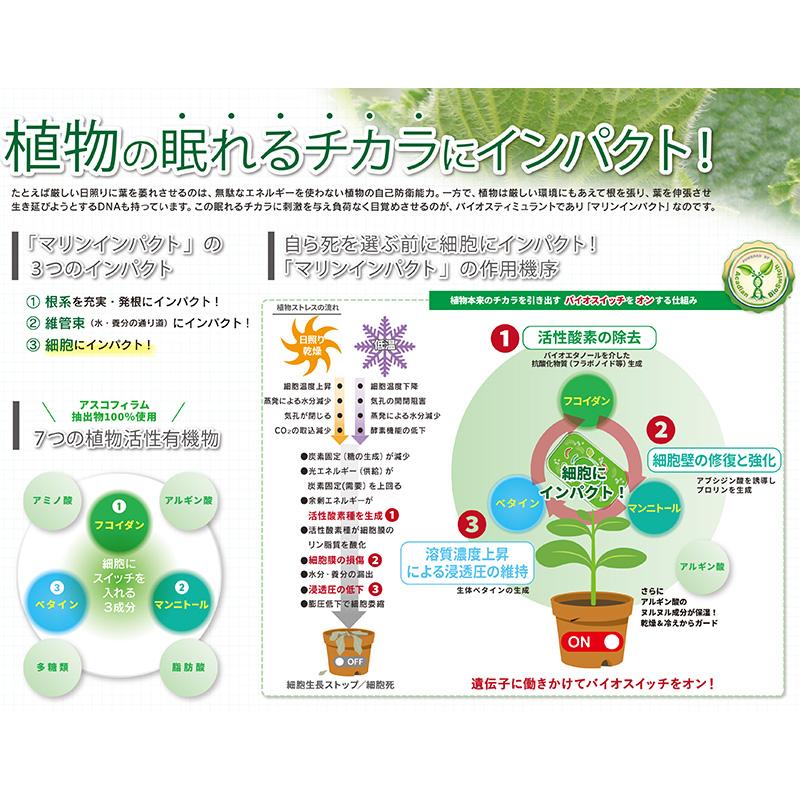 マリンインパクト 4L バイオスティミュラント資材 ファイトクローム 新ク DZ |  | 04