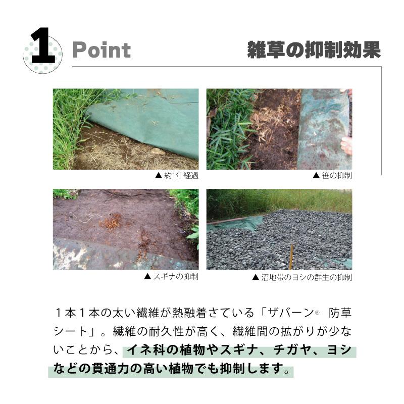 防草シート セット ザバーン 240G グリーン 幅1m×長さ5m Uピン10本付 10年 耐久 芝生 草 庭 雑草防止 雑草対策 雑草抑制 透水性 高耐久 グリーンフィールド DZ |  | 03