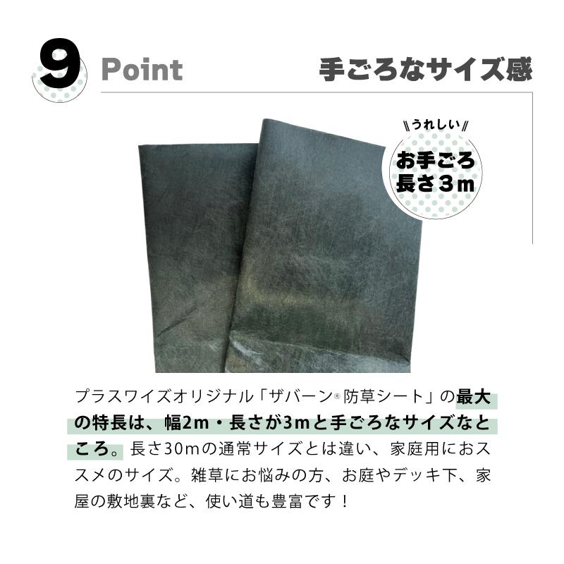 防草シート セット ザバーン 240G グリーン 幅 2m × 長さ 3m Uピン10本付 10年 耐久 芝生 草 庭 雑草防止 雑草対策 雑草抑制 透水性 グリーンフィールド DZ |  | 11