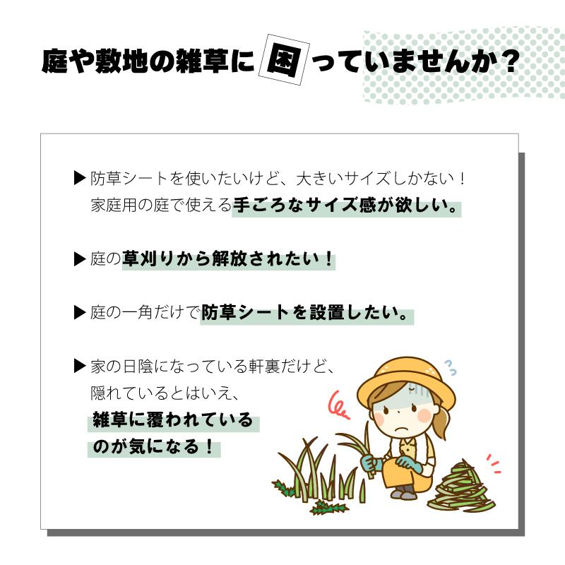 防草シート セット ザバーン 240G グリーン 幅 2m × 長さ 3m Uピン10本付 10年 耐久 芝生 草 庭 雑草防止 雑草対策 雑草抑制 透水性 グリーンフィールド DZ |  | 01