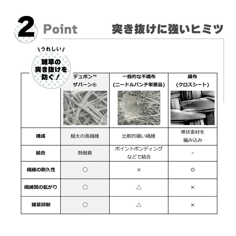 防草シート セット ザバーン 240G グリーン 幅 2m × 長さ 3m Uピン10本付 10年 耐久 芝生 草 庭 雑草防止 雑草対策 雑草抑制 透水性 グリーンフィールド DZ |  | 04