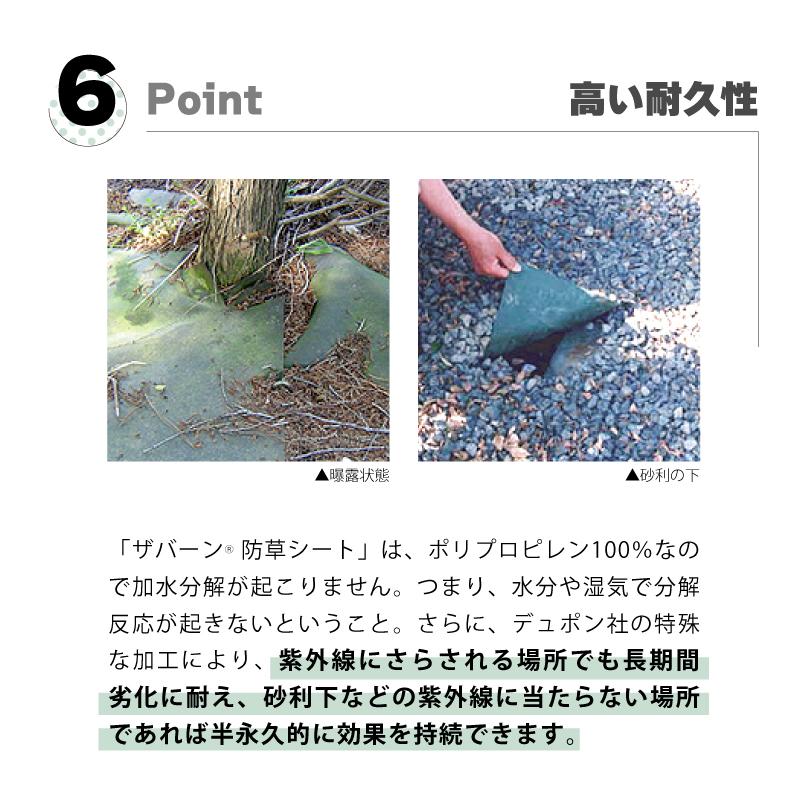 防草シート セット ザバーン 240G グリーン 幅 2m × 長さ 3m Uピン10本付 10年 耐久 芝生 草 庭 雑草防止 雑草対策 雑草抑制 透水性 グリーンフィールド DZ |  | 08
