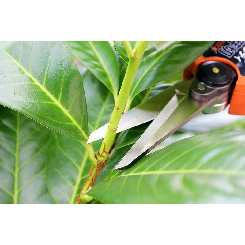 ニシガキ N-948 太丸ハンディー芽切 バッテリー・充電器付 充電式芽切鋏 剪定鋏 バサミ 剪定はさみ 三冨 D |  | 04