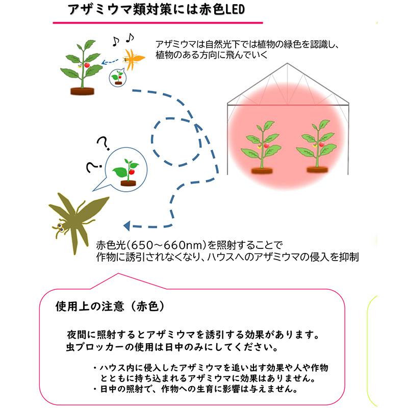 虫ブロッカー 赤 ハウス防虫用LED 連結タイプ アザミウマ類 侵入防止 増殖抑制 行動抑制 ホーグス 代引不可 |  | 04