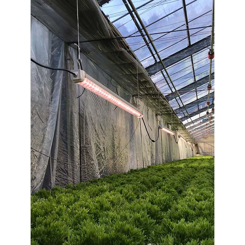 遠赤入植物育成ライト ハレルヤ 60W LEDライト 補光 光合成 育成ライト 日照不足解消 曇天時に ホーグス 代引不可 |  | 03