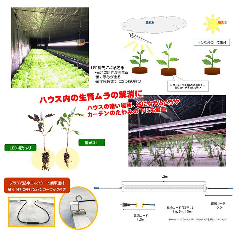 遠赤入植物育成ライト ハレルヤ 120W LEDライト 補光 光合成 育成ライト 日照不足解消 曇天時に ホーグス 代引不可 |  | 01