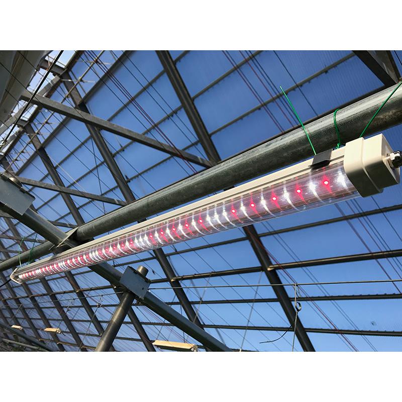 遠赤入植物育成ライト ハレルヤ 120W LEDライト 補光 光合成 育成ライト 日照不足解消 曇天時に ホーグス 代引不可 |  | 02