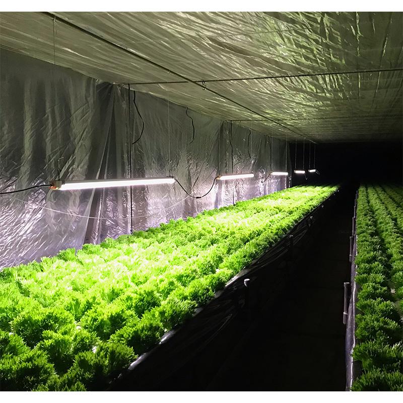 遠赤入植物育成ライト ハレルヤ 120W LEDライト 補光 光合成 育成ライト 日照不足解消 曇天時に ホーグス 代引不可 |  | 04