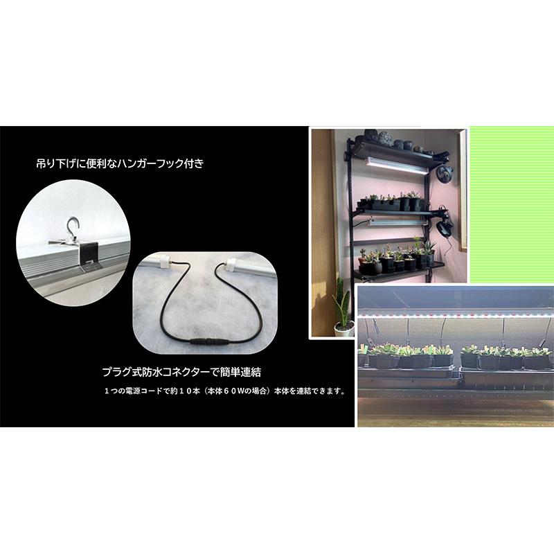 遠赤入植物育成ライト ハレルヤ Jr. 30W LEDライト ハレルヤジュニア 補光 光合成 育成ライト 観葉植物育成に 日照不足解消 曇天時に ホーグス 代引不可 |  | 01