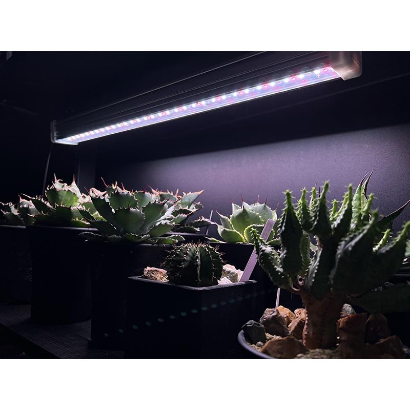 遠赤入植物育成ライト ハレルヤ Jr. 60W LEDライト ハレルヤジュニア 補光 光合成 育成ライト 観葉植物育成に 日照不足解消 曇天時に ホーグス 代引不可 |  | 03